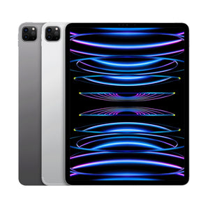 Apple iPad Pro (6. Gen) A2437 12,9 Zoll Display Wi-Fi + Cellular
